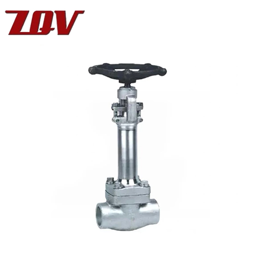 Forged Cryogenic Gate Valve