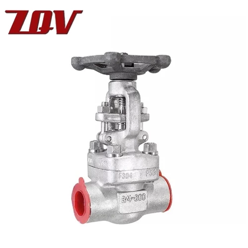 Forged Stainless Steel Gate Valve