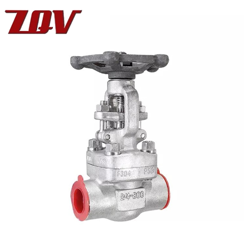 Forged Stainless Steel Gate Valve